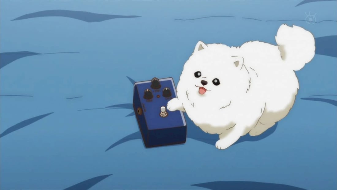 Anime Loves Great Pyrenees Dogs  Heres Where to Watch Them