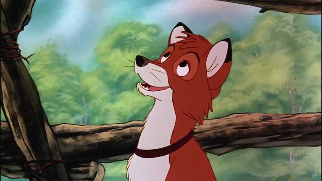 tod (the fox and the hound)