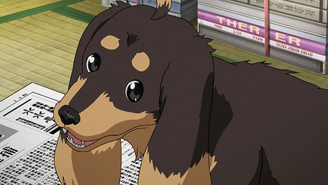 Top 68 anime about dogs super hot  incdgdbentre