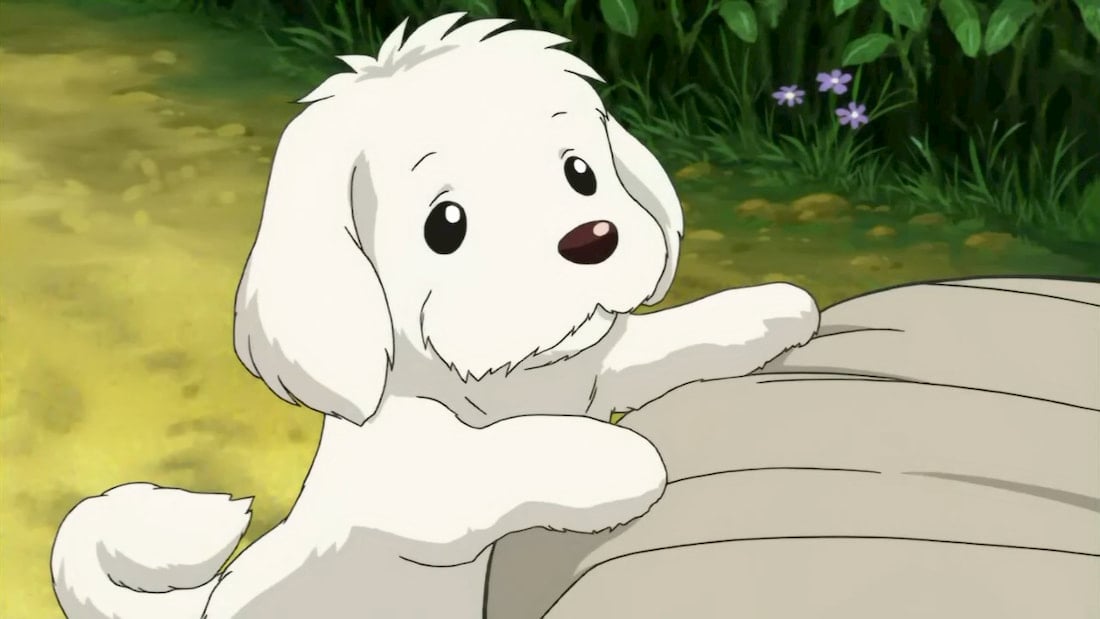 Anime Loves Great Pyrenees Dogs  Heres Where to Watch Them