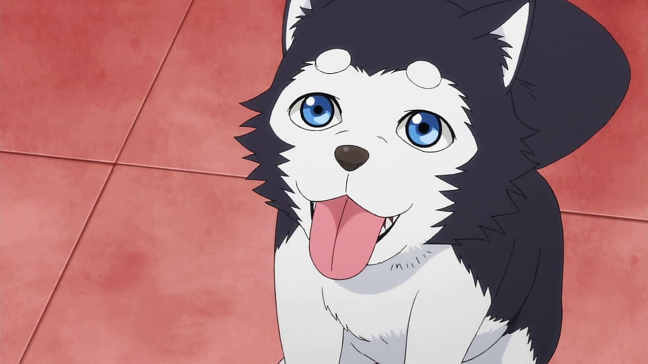 mangadogs