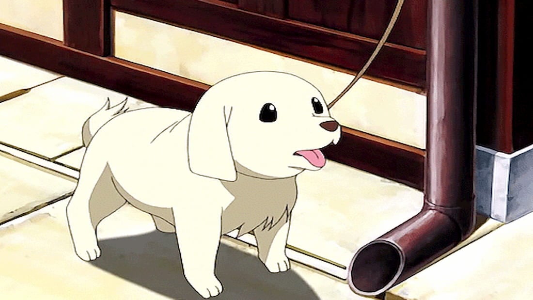 manga dogs