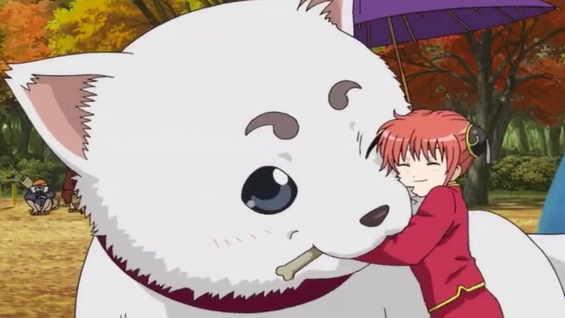 60 Best Anime Dogs That Stole Our Hearts With Pictures  Puplore