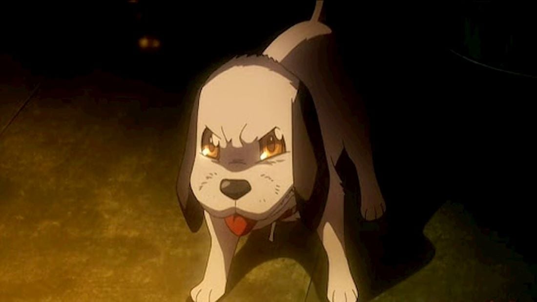 Dogs Characters  AnimePlanet