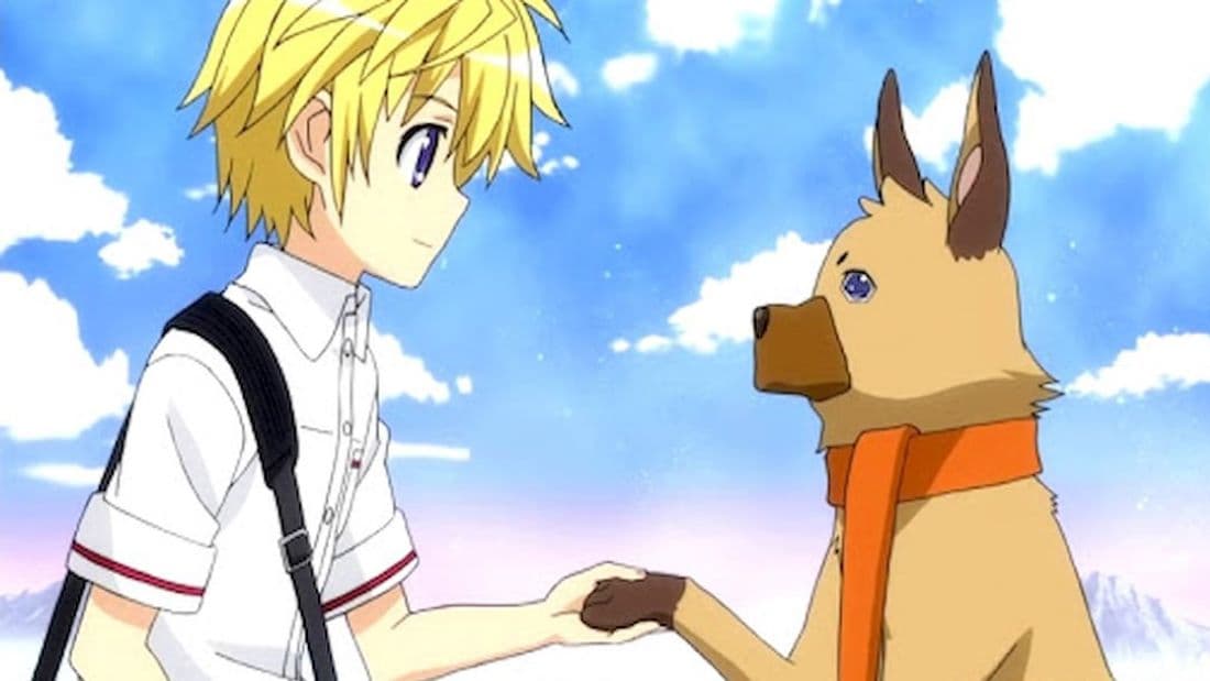 25 Best Anime Dogs Mans Best Friend in Anime Shows  Movies  FandomSpot