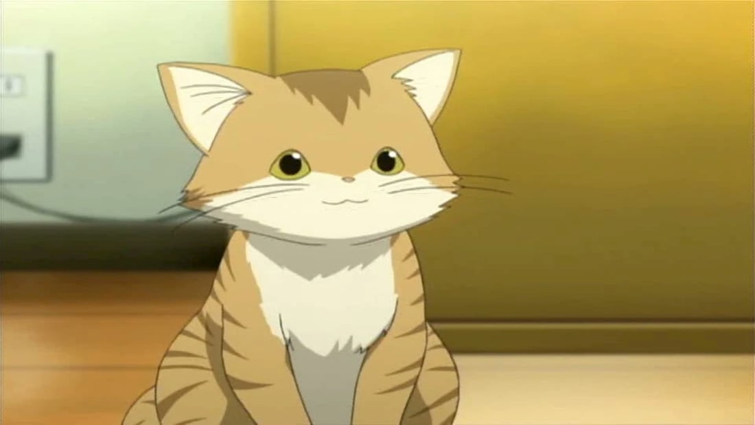 Top 50 Best Anime Cats Most Popular Of All Time