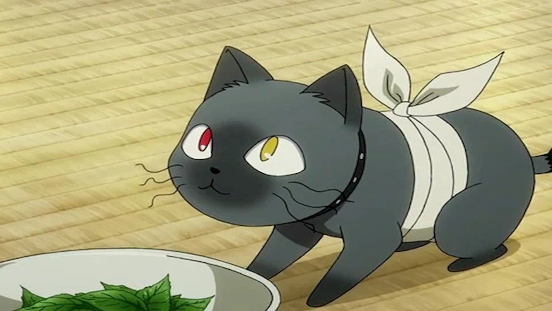 Top 50 Best Anime Cats (Most Popular of All Time)