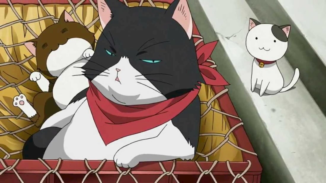 Top 50 Best Anime Cats (Most Popular of All Time)