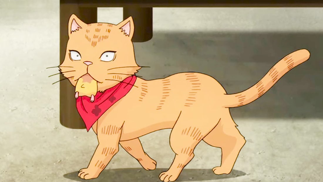 Top 50 Best Anime Cats [Most Popular of All Time]