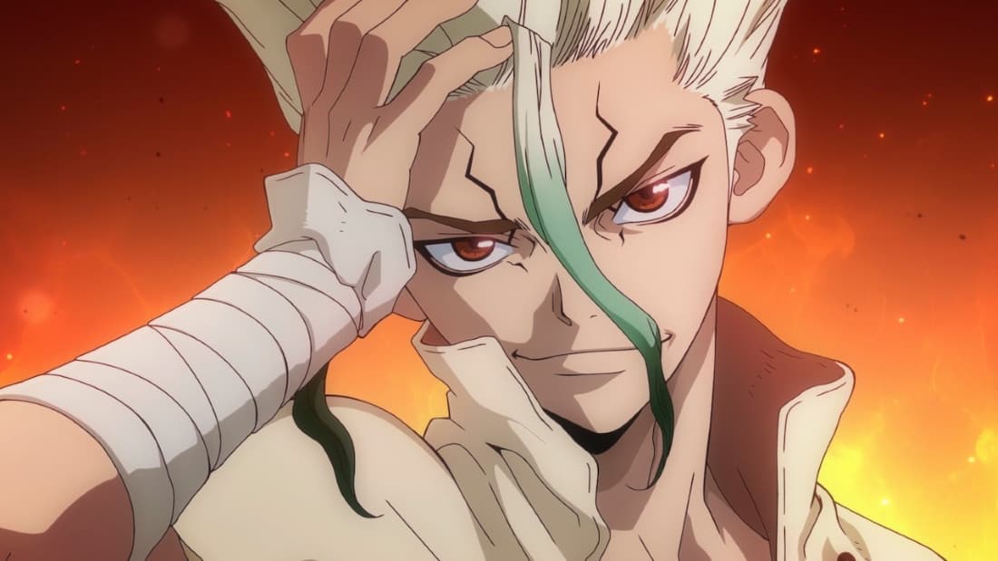 Dr. Stone