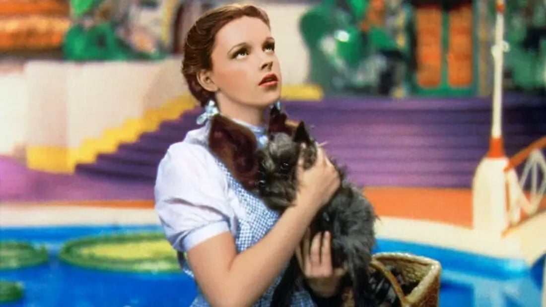 Dorothy (The Wizard of Oz)