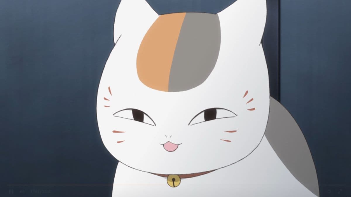 Top 20 Anime Cats That Will Steal All Your Love - 2022 | Blue exorcist  characters, Blue exorcist, Anime