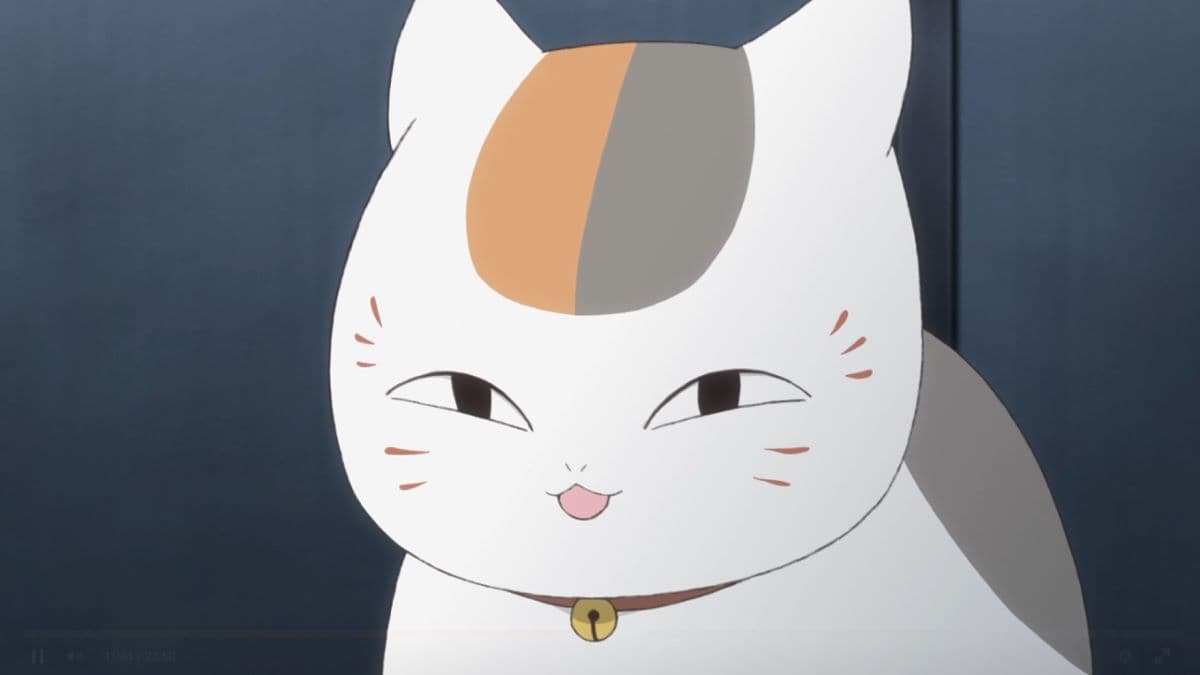 Top 50 Best Anime Cats [Most Popular of All Time]