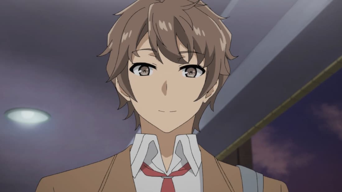 Rascal Does Not Dream of Bunny Girl Senpai Seishun Buta Yarou wa Yumemiru Shoujo no Yume wo Minai (TV Episode 2019) - IMDb