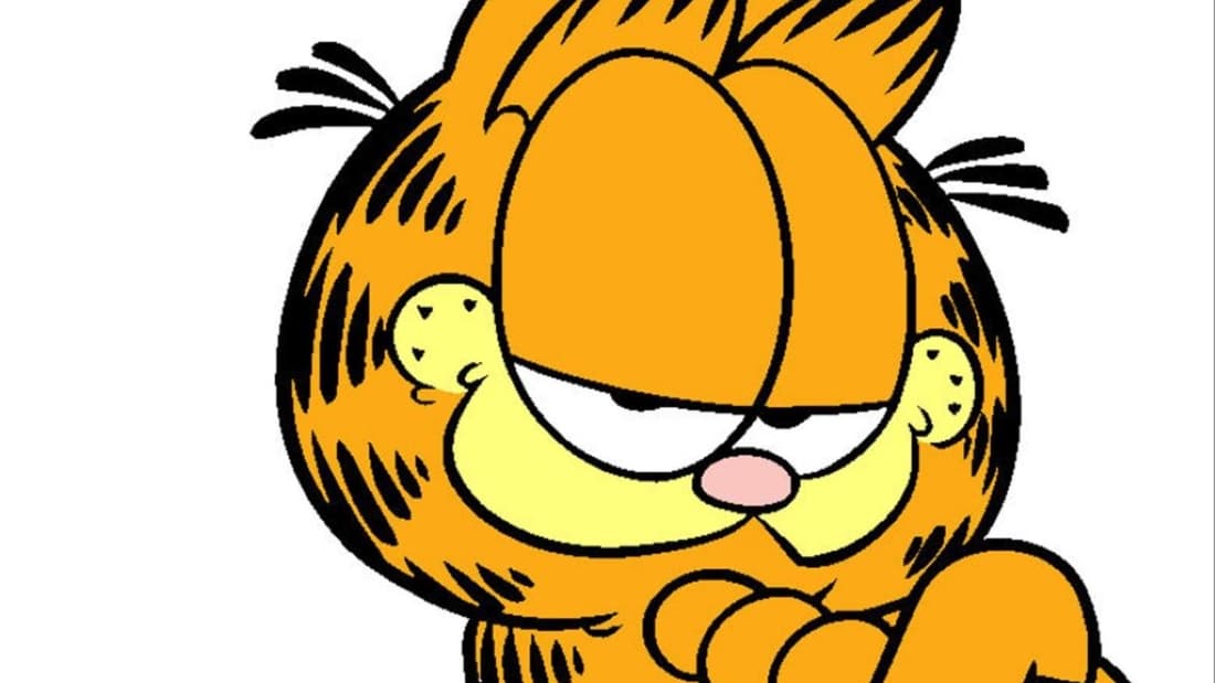 Garfield (animal)