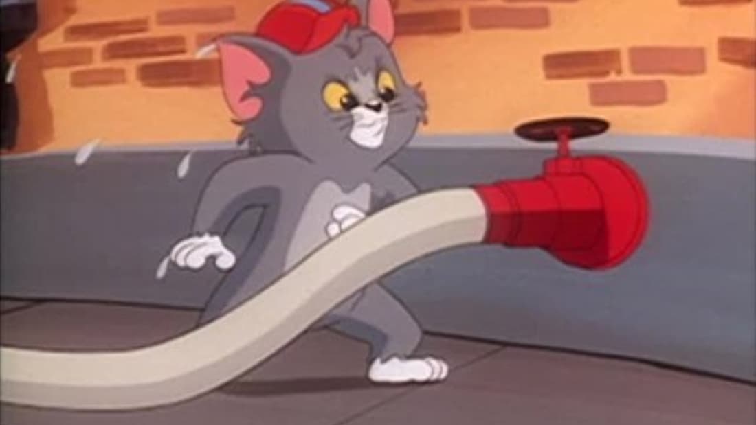 Thomas Tom Cat (Tom & Jerry Kids)