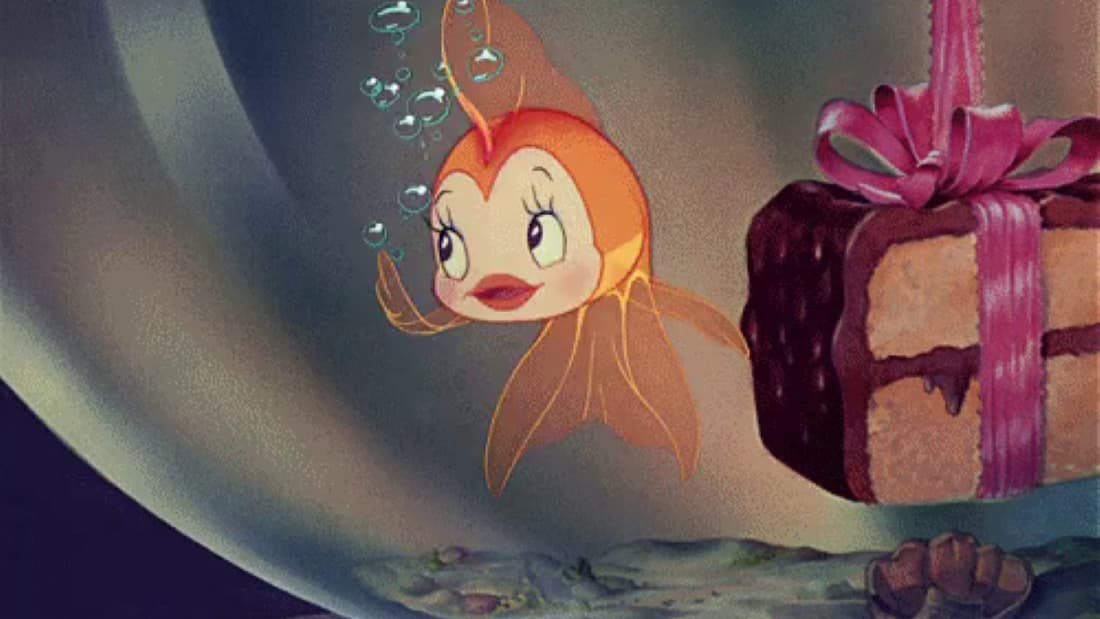 Cleo The Goldfish (Pinocchio)
