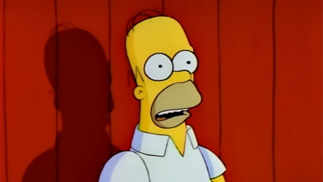HOMER SIMPSON (The Simpsons)