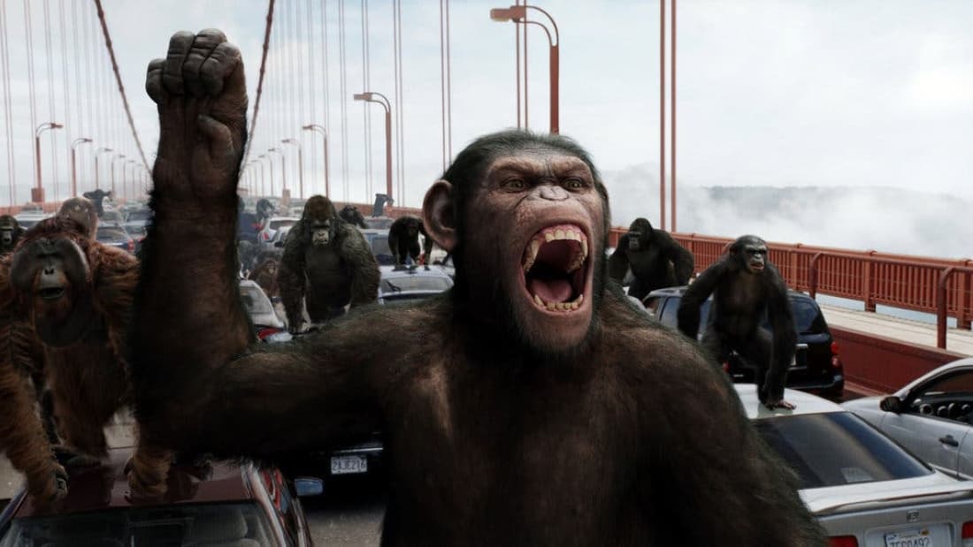 Rise Of The Planet Of The Apes