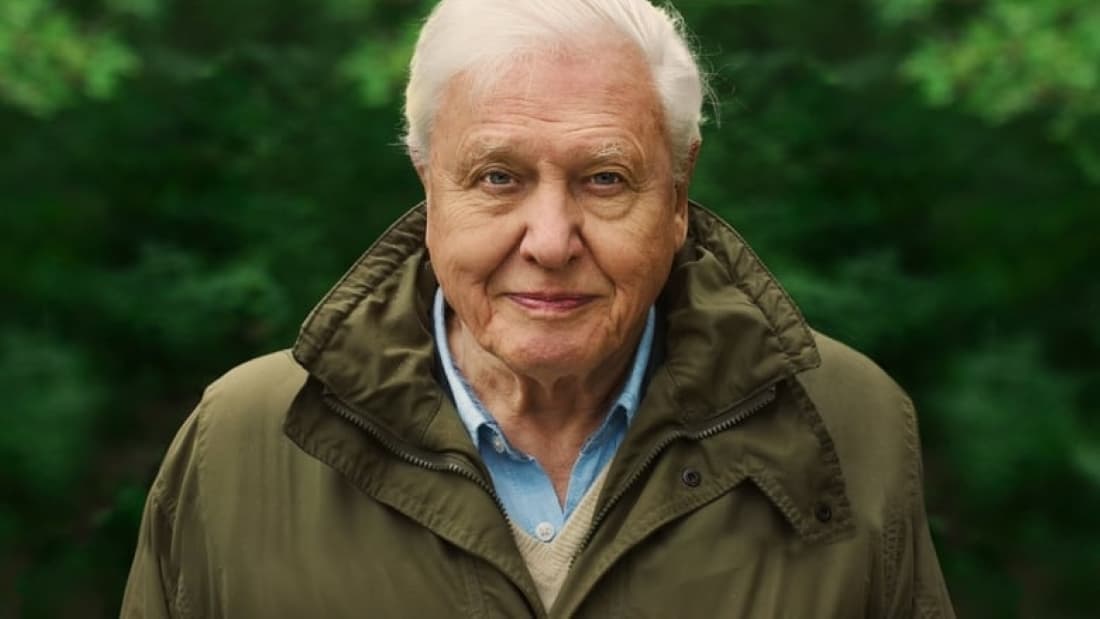 David Attenborough: A Life on Our Planet (2020)