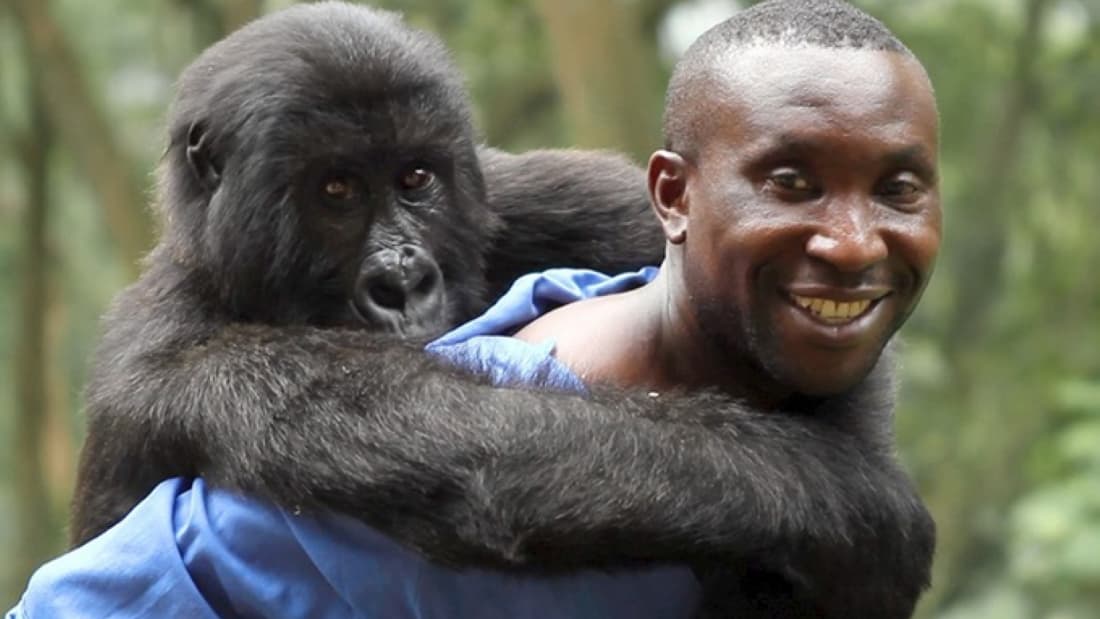 Virunga (2014)