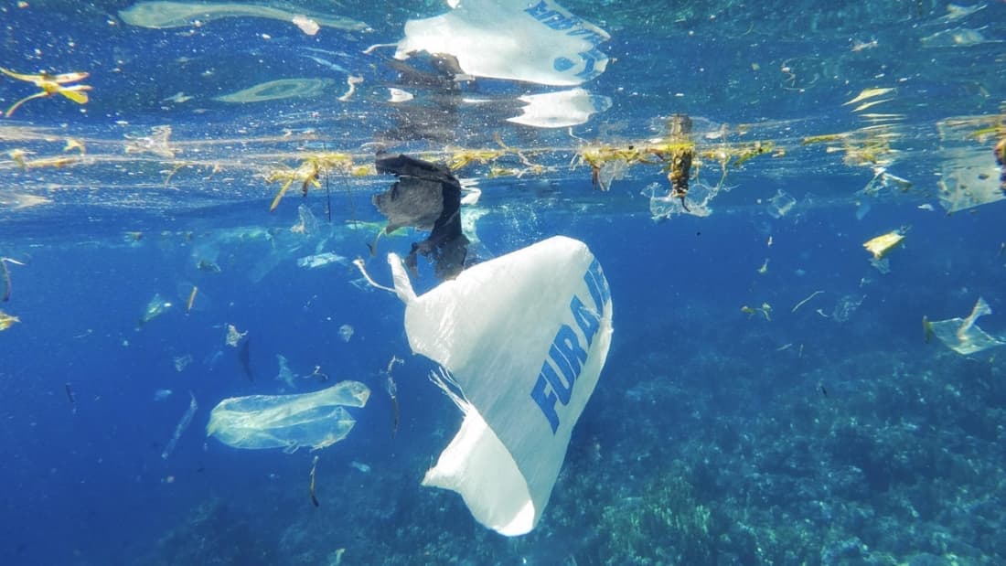 A Plastic Ocean (2016)