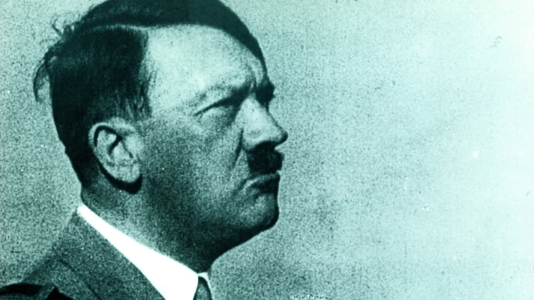 Hitler: A Career (1977)