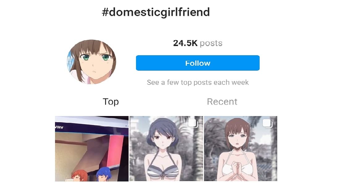 instagram page domestic girlfriend (fan created)