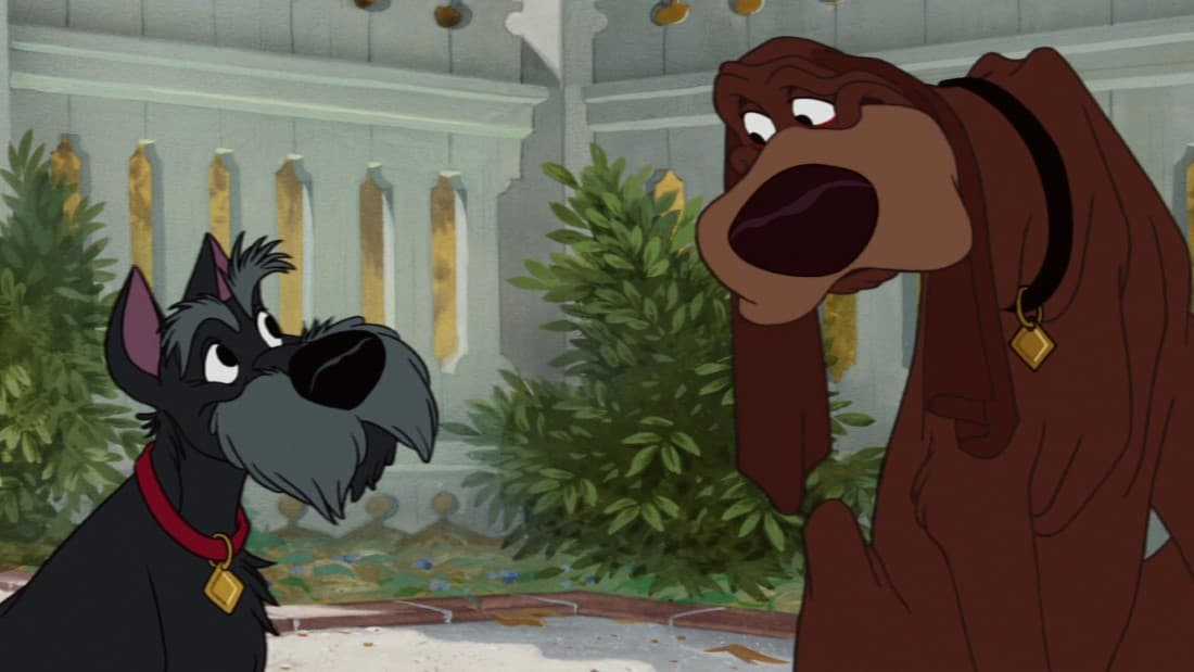 Jock and Trusty (Lady and the Tramp)
