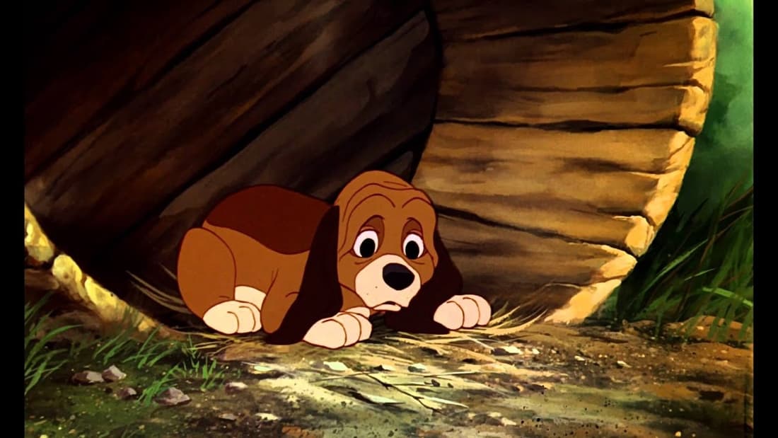 THE FOX AND THE HOUND (1981)