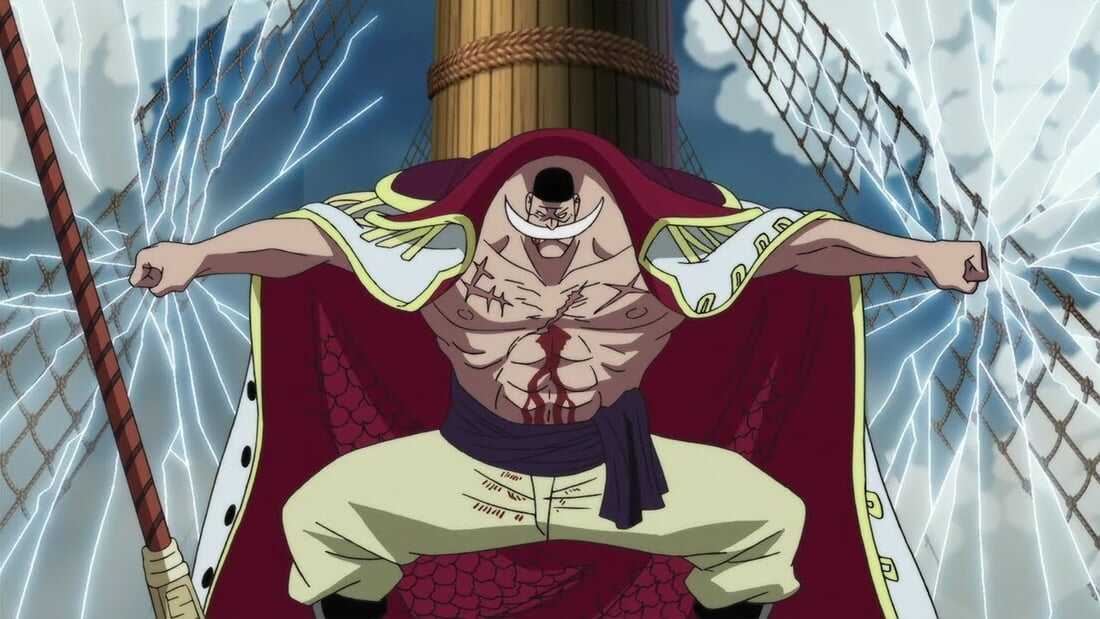 whitebeard (5,046,000,000 berries)