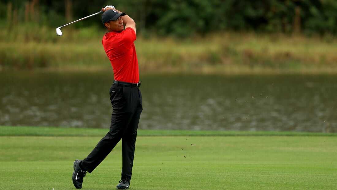Tiger (2021)