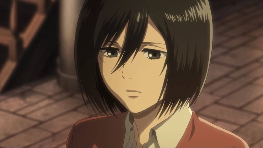 ackerman mikasa (attack on titan)