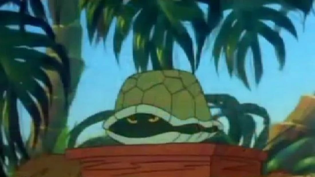 Dictator Turtle