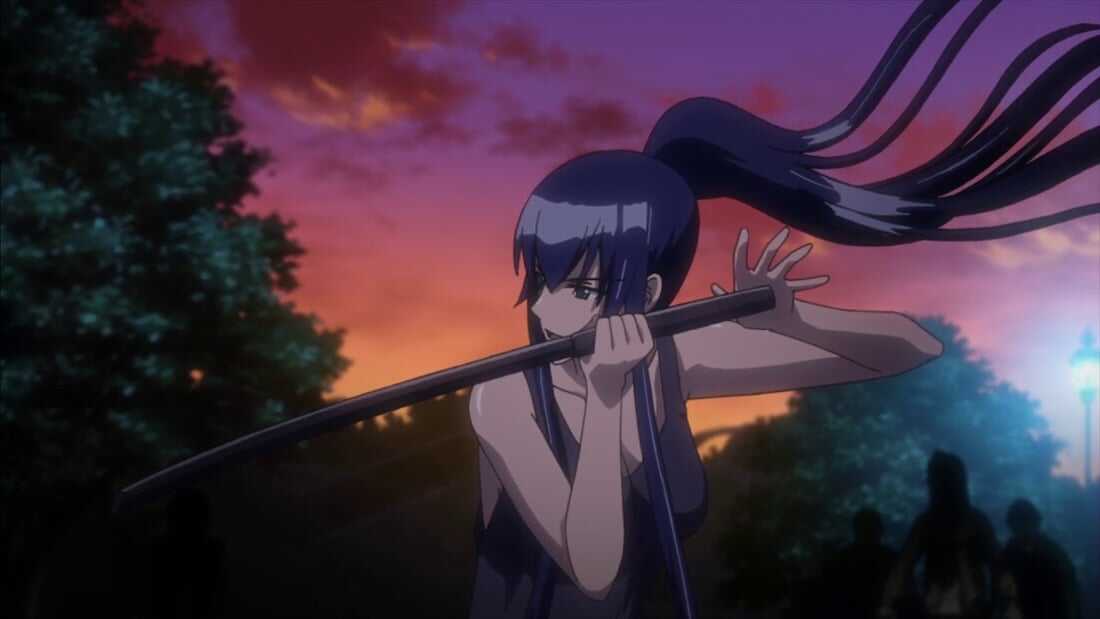 Saeko Bushijima (Highschool Of The Dead)