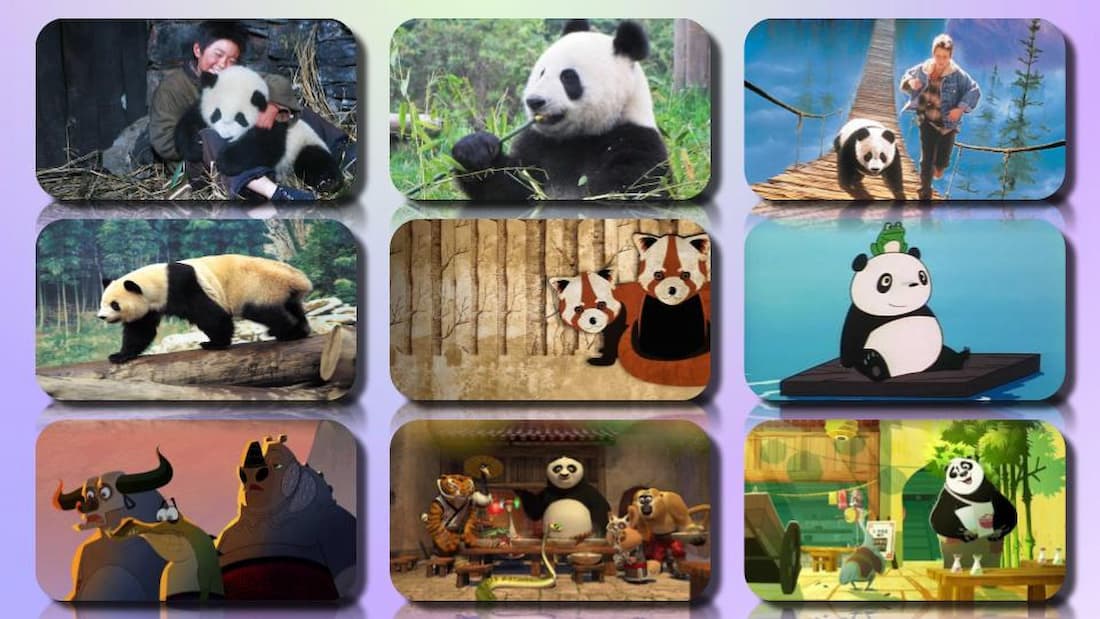 Top 19 Best Panda Films Of All Time