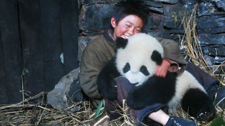 Top 19 Best Panda Movies Of All Time