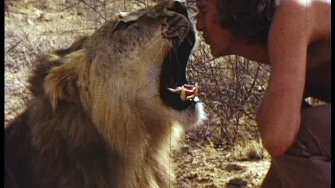 Christian the Lion (1971)