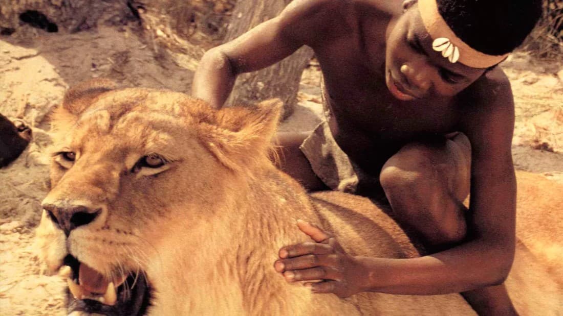 The Lion Child (1993)