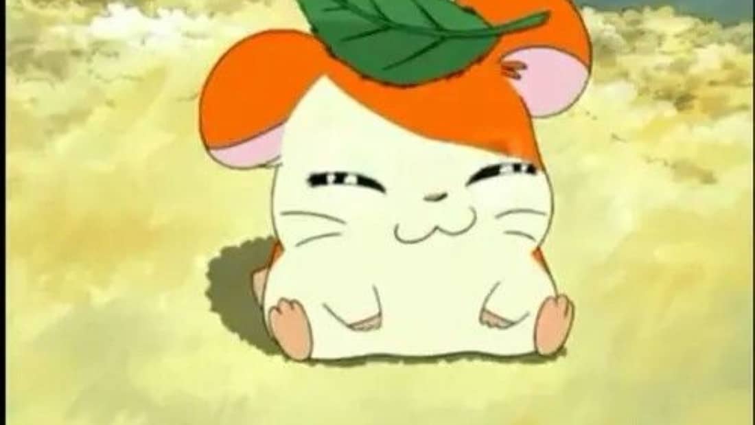 Hamtaro