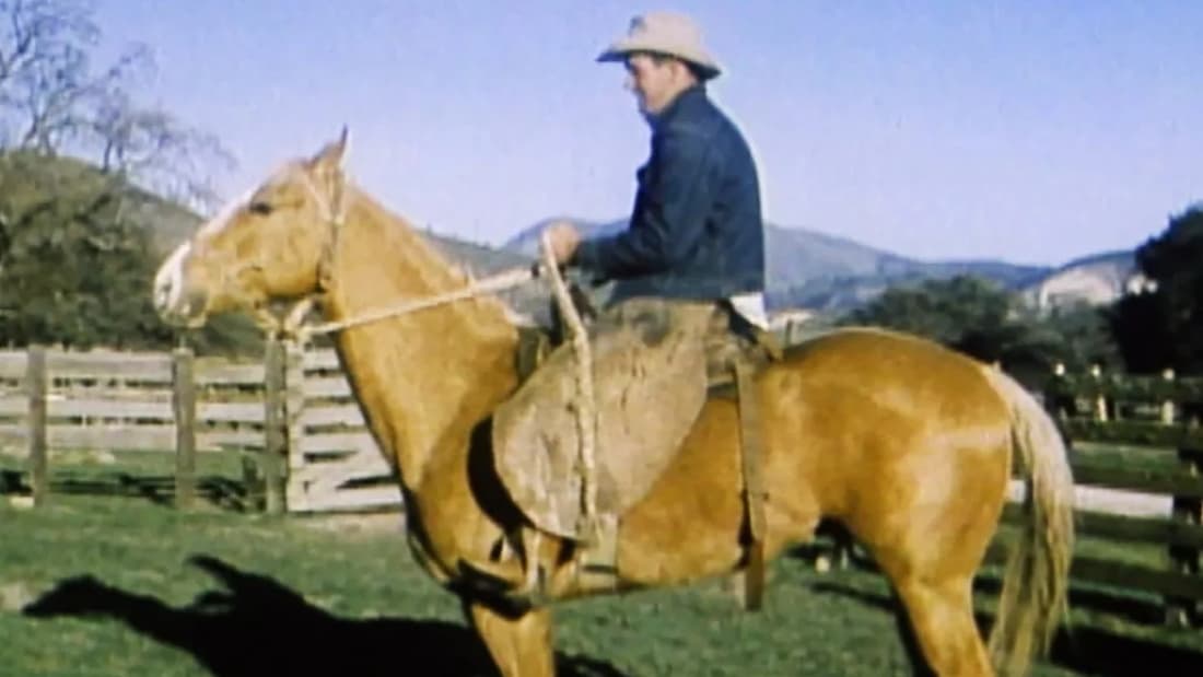 The Horse with the Flying Tail (1960)