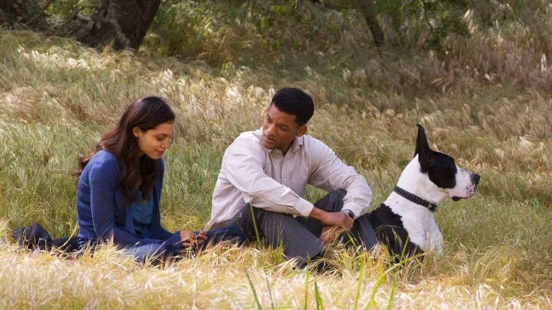 Seven Pounds (2008)