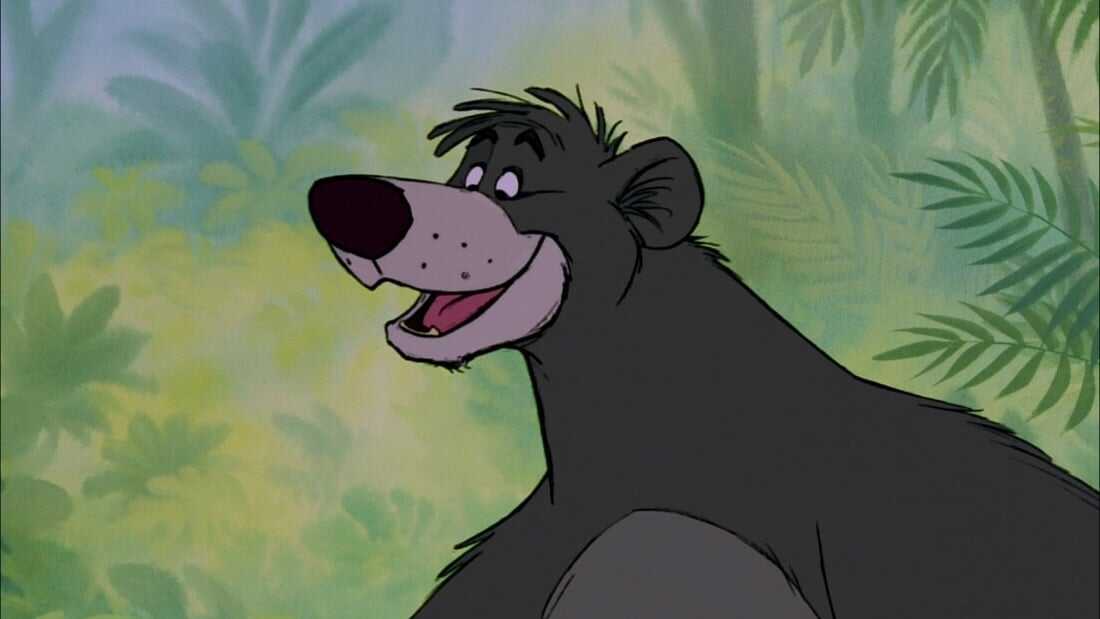 Baloo (Jungle Book)