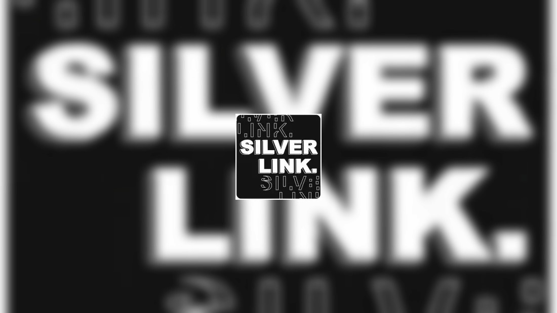 Silver Link 
