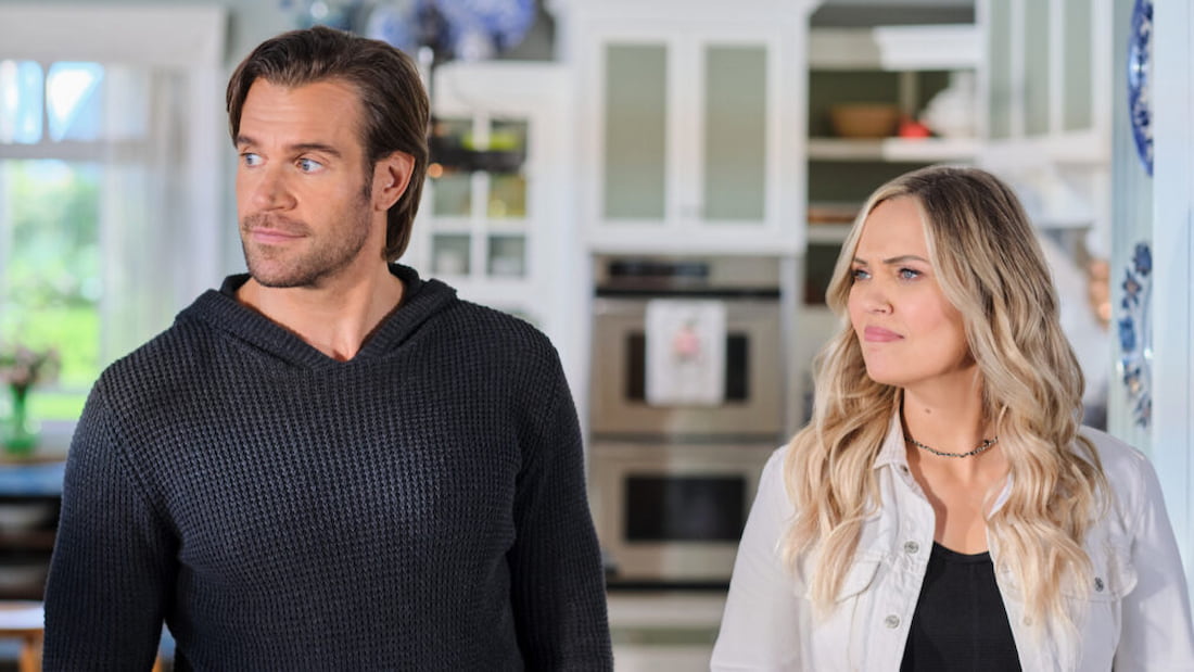 Chesapeake shores season deals 4 netflix release date