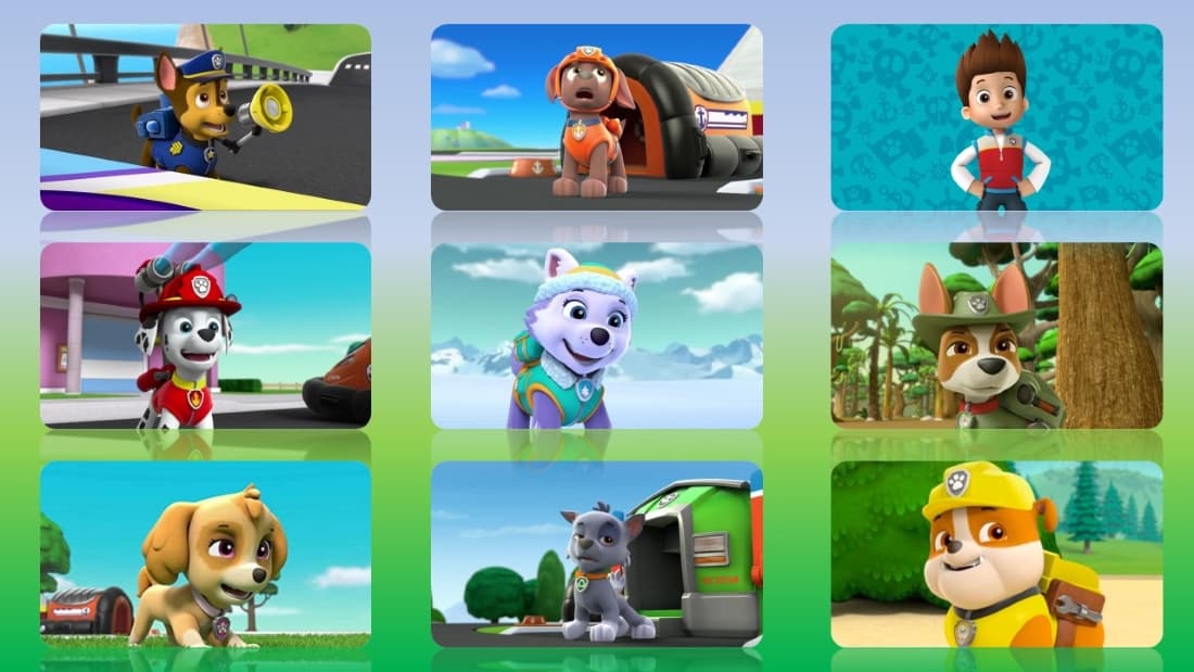 PAW Patrol's Zuma – PAW Patrol & Friends