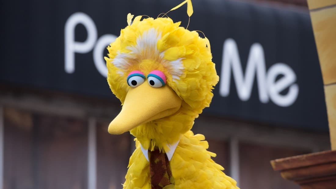 Big Bird (Sesame Street)