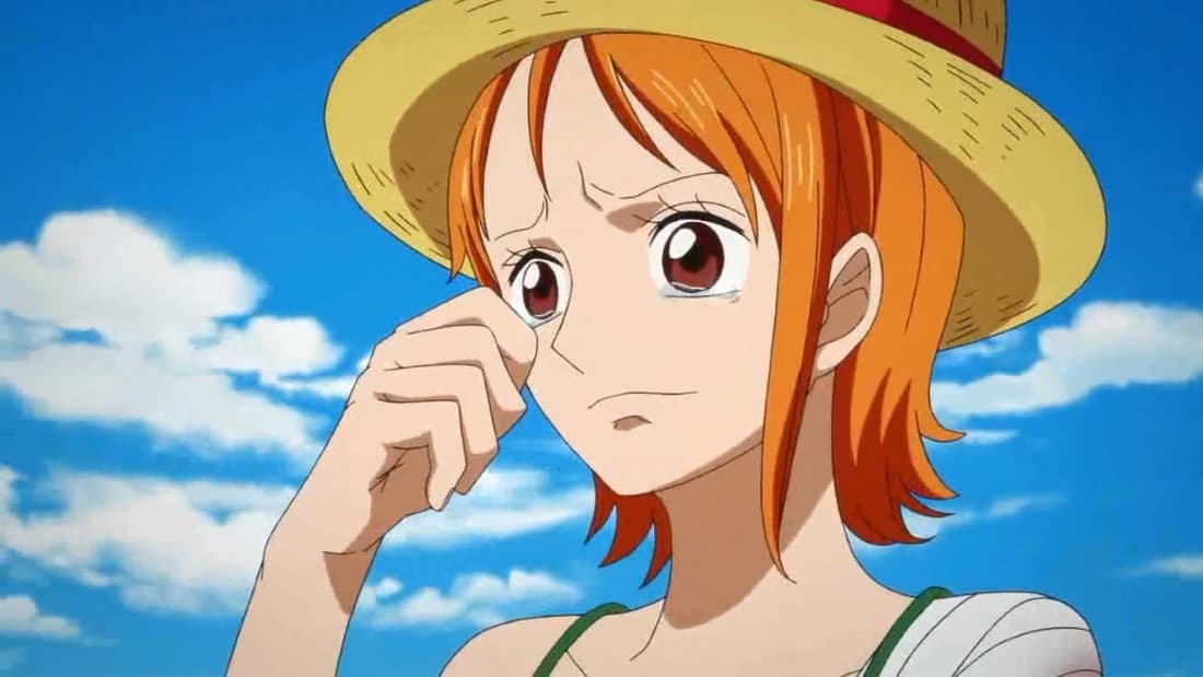 One Piece: Episode Of Nami