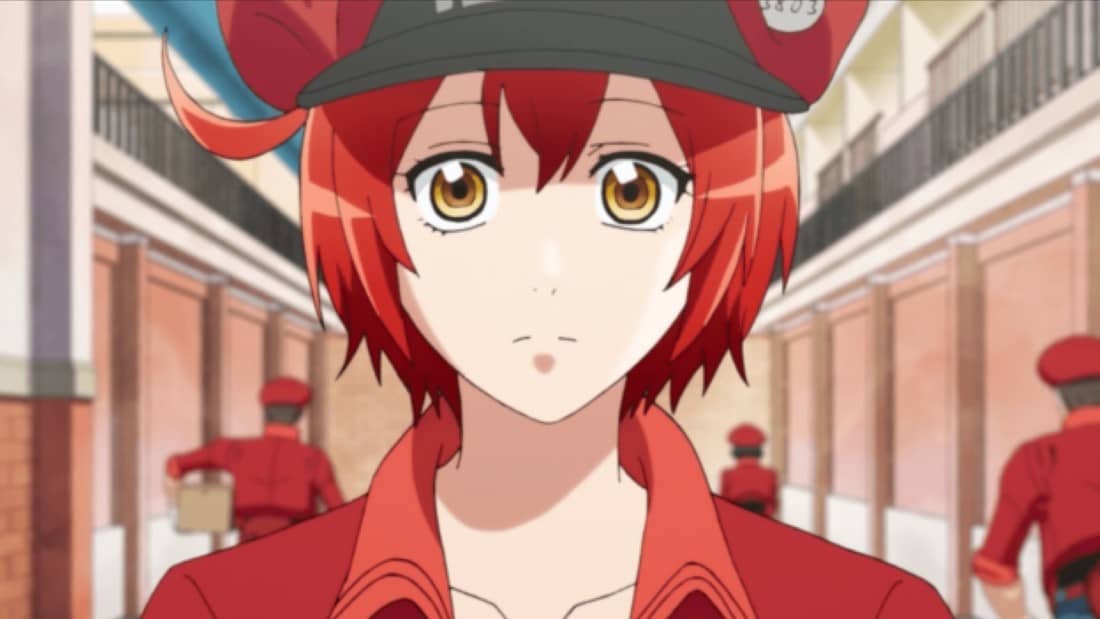 Red Blood Cell (Cells at Work)