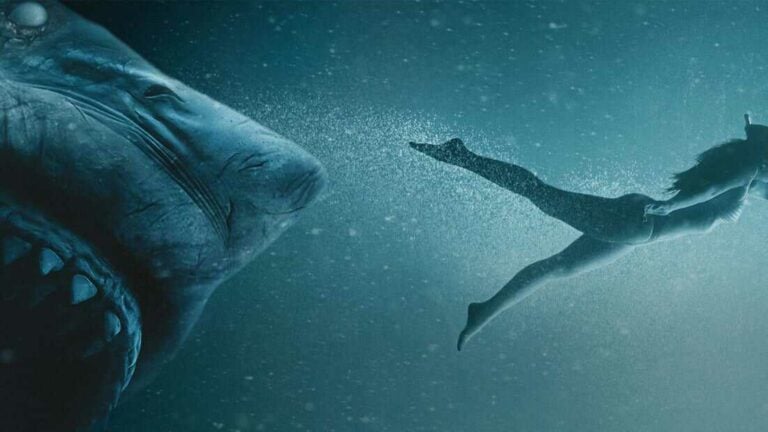 Top 36 Best Shark Movies To Watch